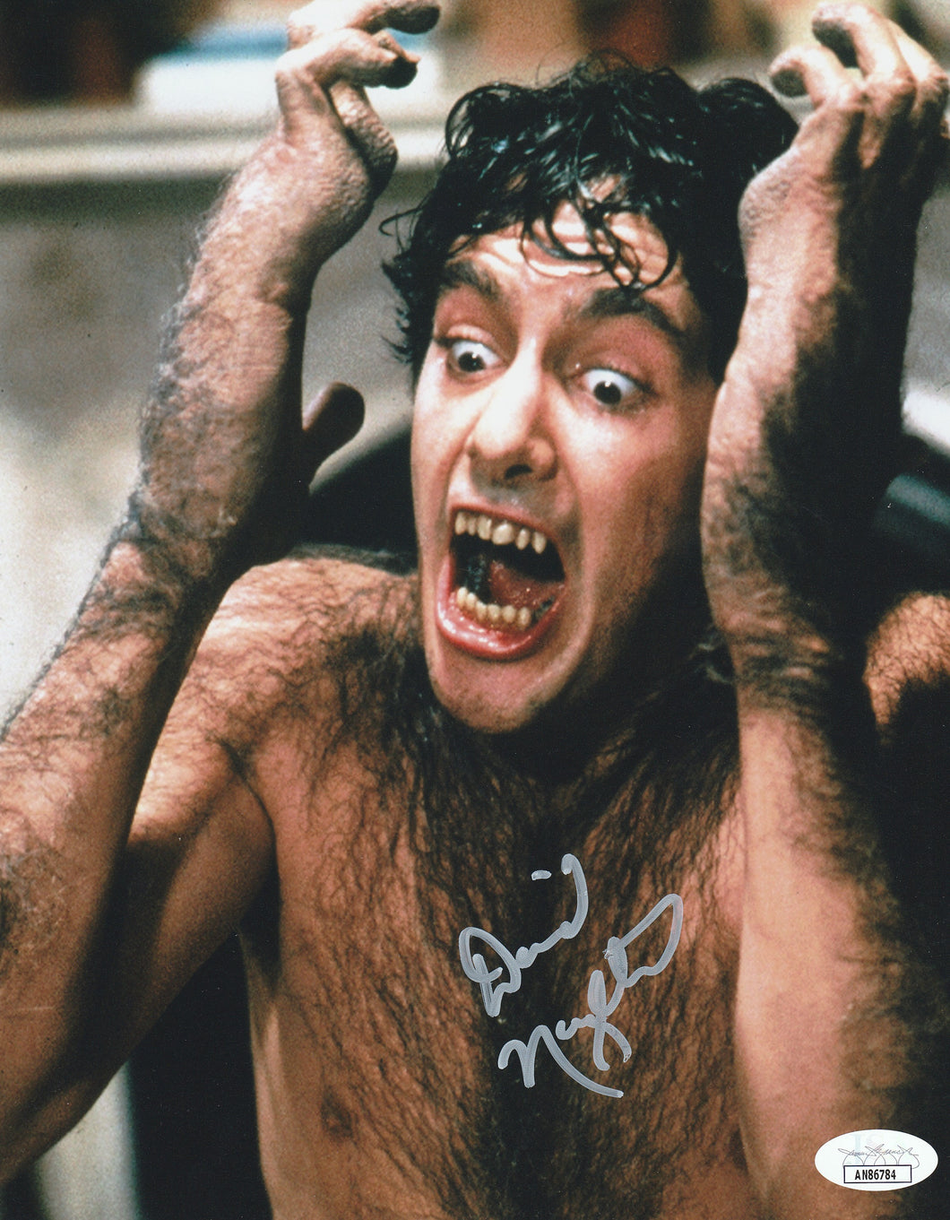 American Werewolf In London David Naughton signed 8x10 photo.  Comes with JSA sticker