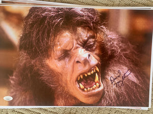 American Werewolf In London David Naughton signed 11x17 poster JSA COA